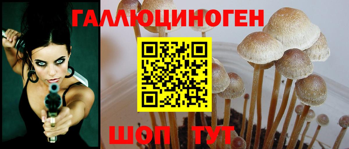 Галлюциногенные грибы прущие грибы  Вход с VPN  Галлюциногенные грибы мицелий  Лянтор 