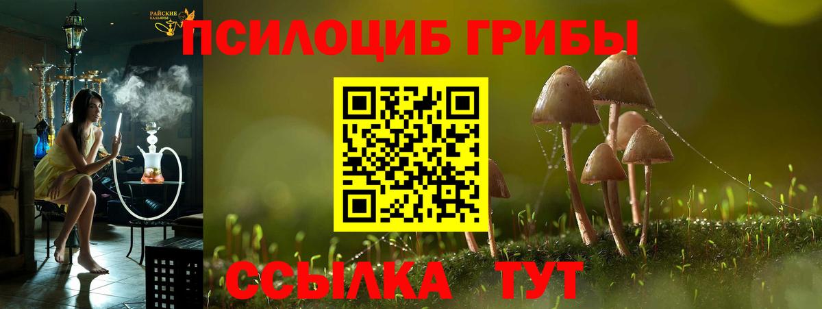 Галлюциногенные грибы прущие грибы Лянтор
